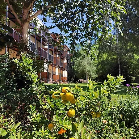 Heide & Hotel Bad Düben